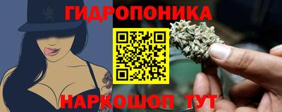 скорость Гагарин