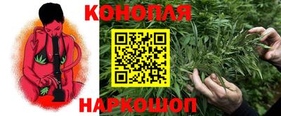 гидропоника Ливны