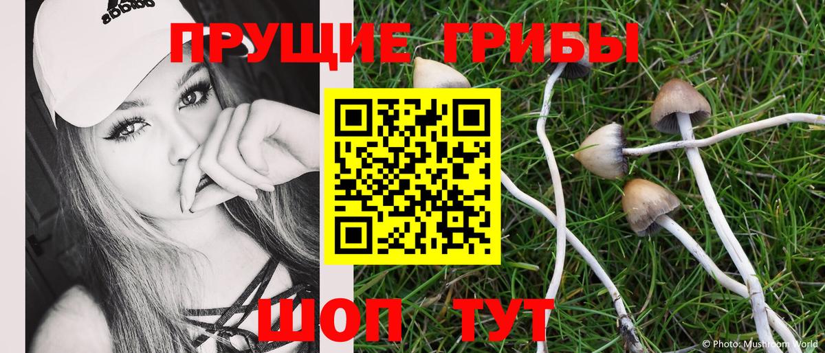 Псилоцибиновые грибы Cubensis  Вход с VPN  Киселёвск  Галлюциногенные грибы прущие грибы 